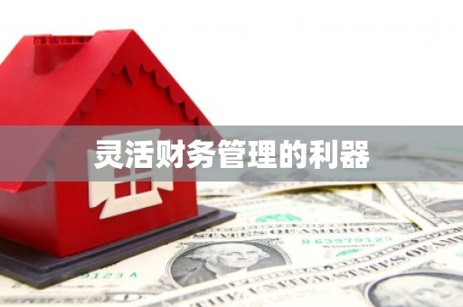 高安灵活财务管理的利器