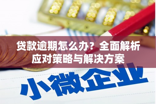 高安贷款逾期怎么办？全面解析应对策略与解决方案