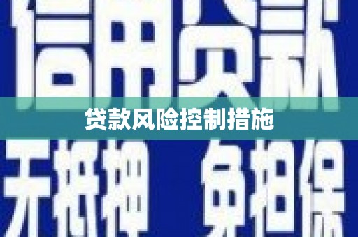高安贷款风险控制措施