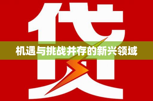 高安机遇与挑战并存的新兴领域