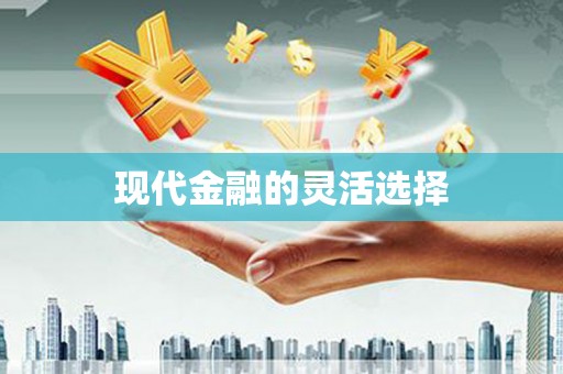 高安现代金融的灵活选择