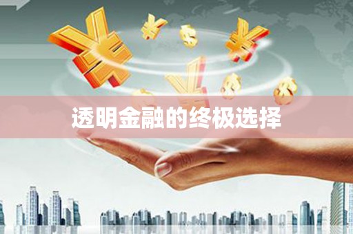 高安透明金融的终极选择