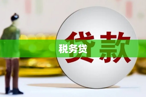 高安税务贷