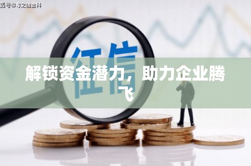 高安解锁资金潜力，助力企业腾飞