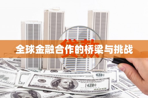 高安全球金融合作的桥梁与挑战