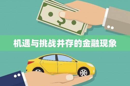 高安机遇与挑战并存的金融现象