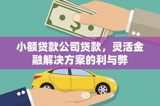 高安小额贷款公司贷款，灵活金融解决方案的利与弊