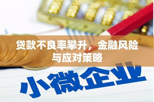 高安贷款不良率攀升，金融风险与应对策略