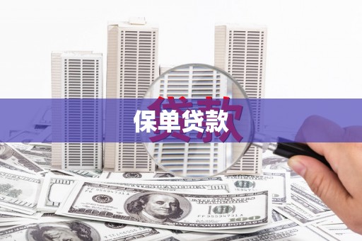 高安保单贷款